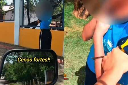Motociclista leva 40 picadas ao salvar menina cercada por abelhas em Belo Horizonte