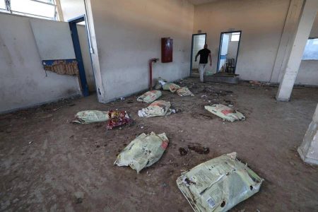 MPBA apura possíveis maus-tratos contra cães da Brigada K9 em Salvador