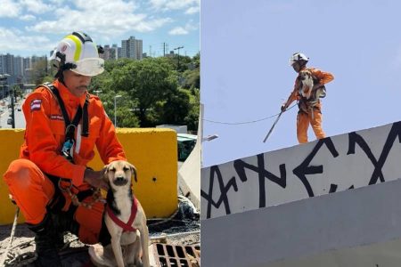 Cachorro é resgatado após ficar preso em viaduto na Avenida ACM, em Salvador