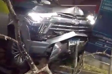 Carro perde o controle e bate em árvore na Avenida Paralela