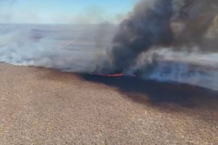 Incêndio de grandes proporções se aproxima de casas em Pilão Arcado; fogo já atinge 174 km²