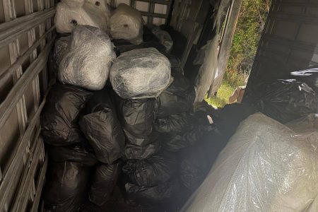 Motorista sem CNH é preso com uma tonelada de maconha em Simões Filho