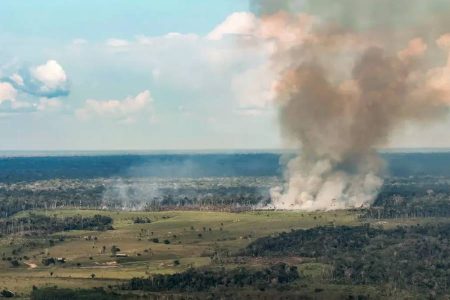 Pará lidera focos de incêndio no Brasil e registra ar insalubre