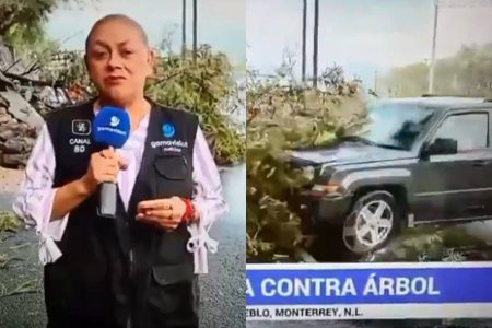 Repórter e cinegrafista são atropelados por carro durante transmissão ao vivo no México