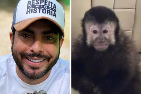 Laudo aponta choque hemorrágico como provável causa da morte do macaco de Marcell Moraes