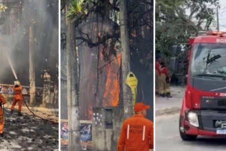 Árvore que pegou fogo cai sobre rede elétrica e provoca apagão em Castelo Branco