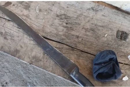 Briga entre vizinhos com foice e facão deixa dois feridos no oeste da Bahia