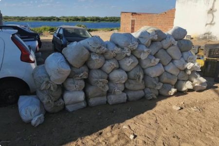 Homem é preso após polícia localizar mais de 323 kg de maconha escondidos em caminhão na Bahia
