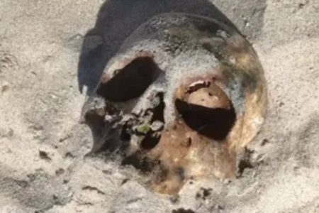 Crânio humano é encontrado por banhistas na areia da praia de Itapuã