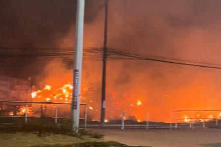 Incêndio de grandes proporções atinge vegetação na região do Monte de Jesus, em Salvador